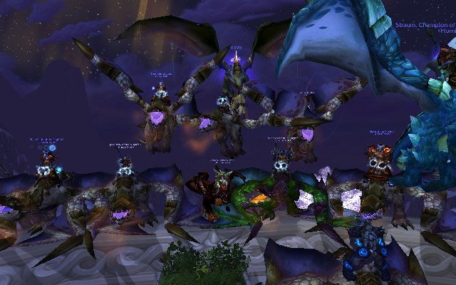 plagued drakes.jpg
