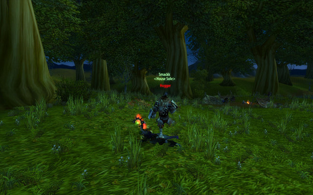 WoWScrnShot_070509_022337.jpg